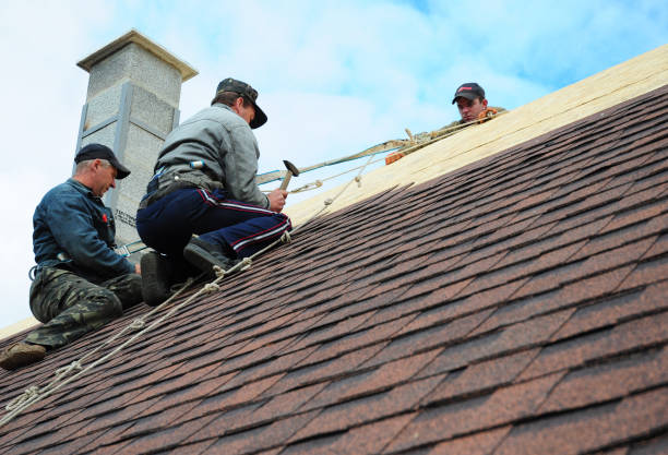 Quick and Trustworthy Emergency Roof Repair Services in Hodgenville, KY
